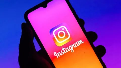 What are the causes of the Instagram app crash on the iPhone?