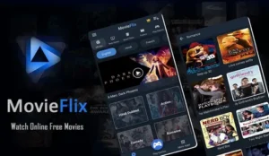 Moviesflix Watch Online Website