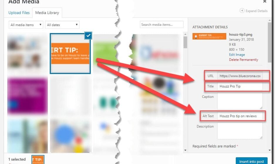 Role of Alt Text in Image Optimization in Image Ranking