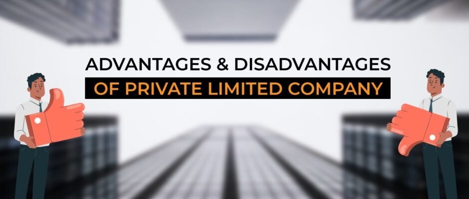 Advantages and Disadvantages of a Private Limited Company