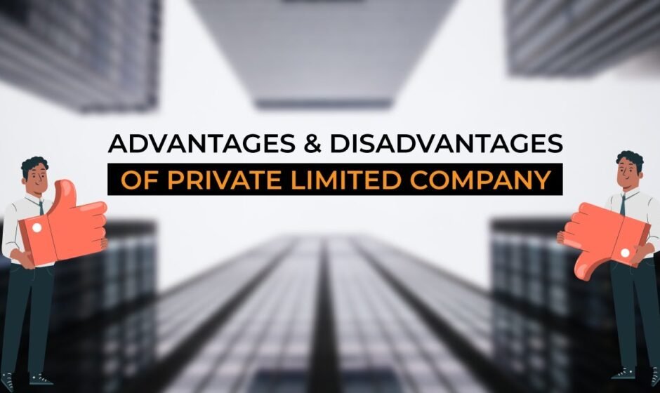 Advantages and Disadvantages of a Private Limited Company