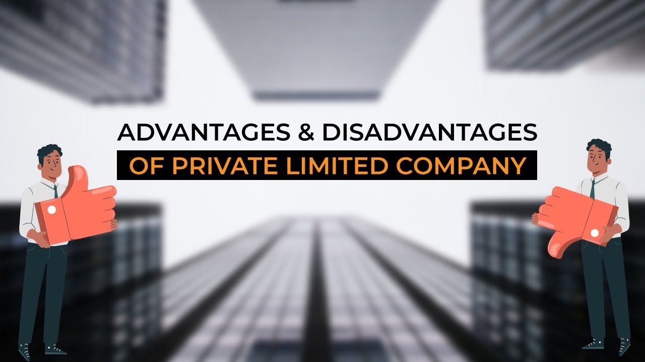 Advantages and Disadvantages of a Private Limited Company